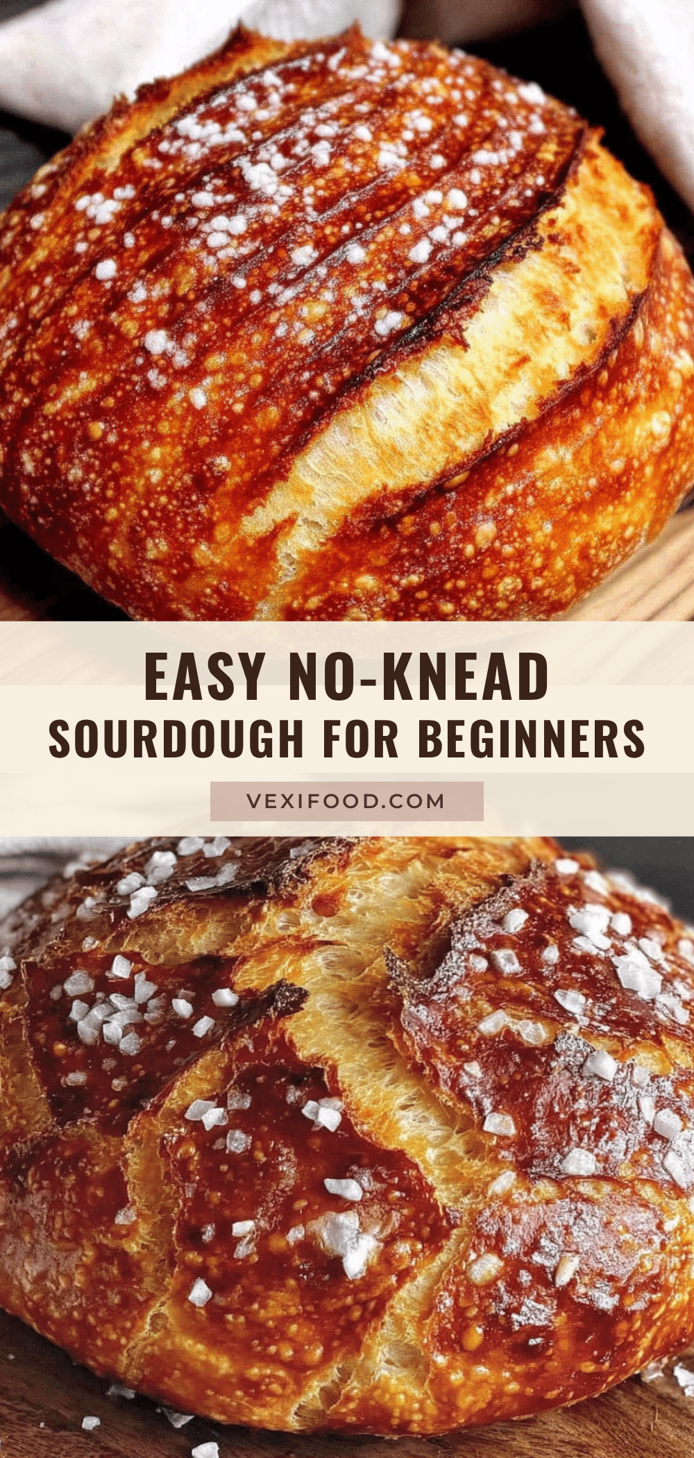 easy no-knead dutch oven sourdough bread recipe