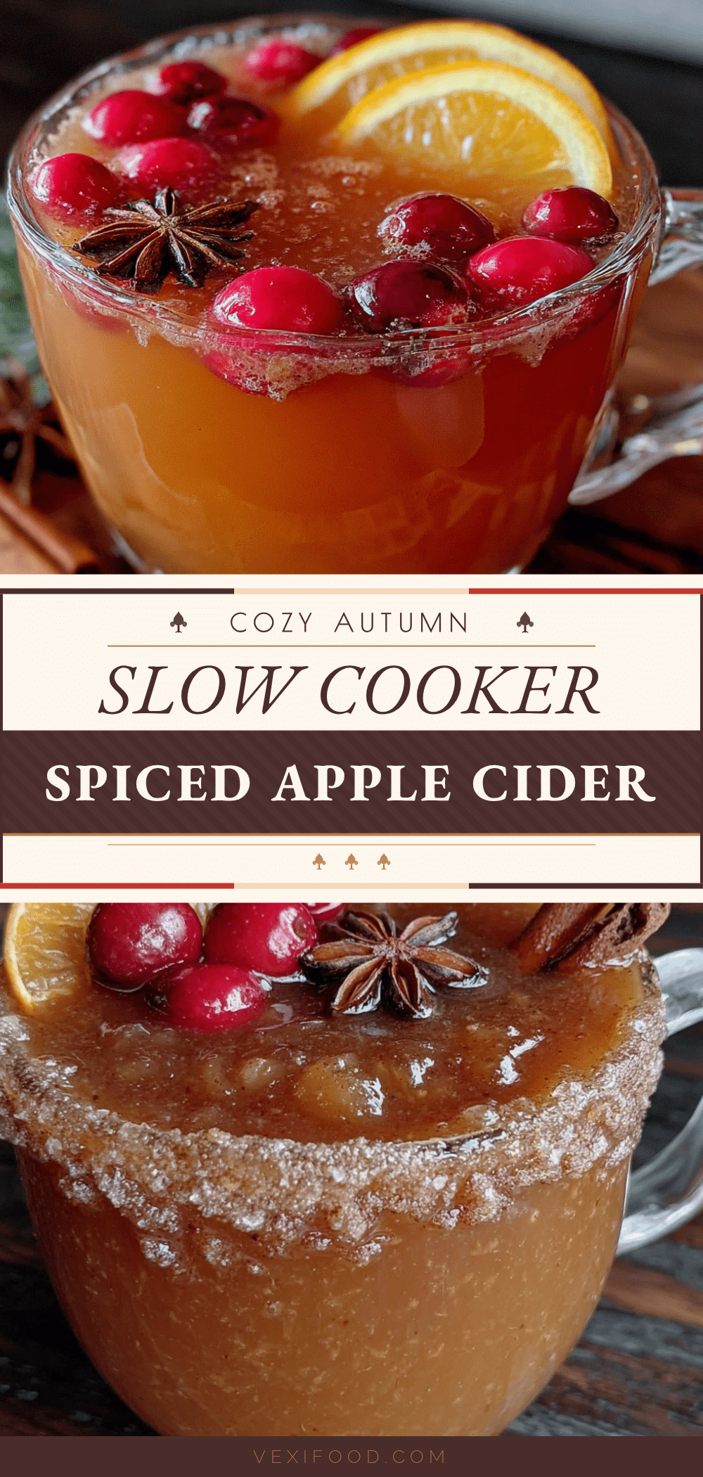 slow cooker spiced apple cider recipe