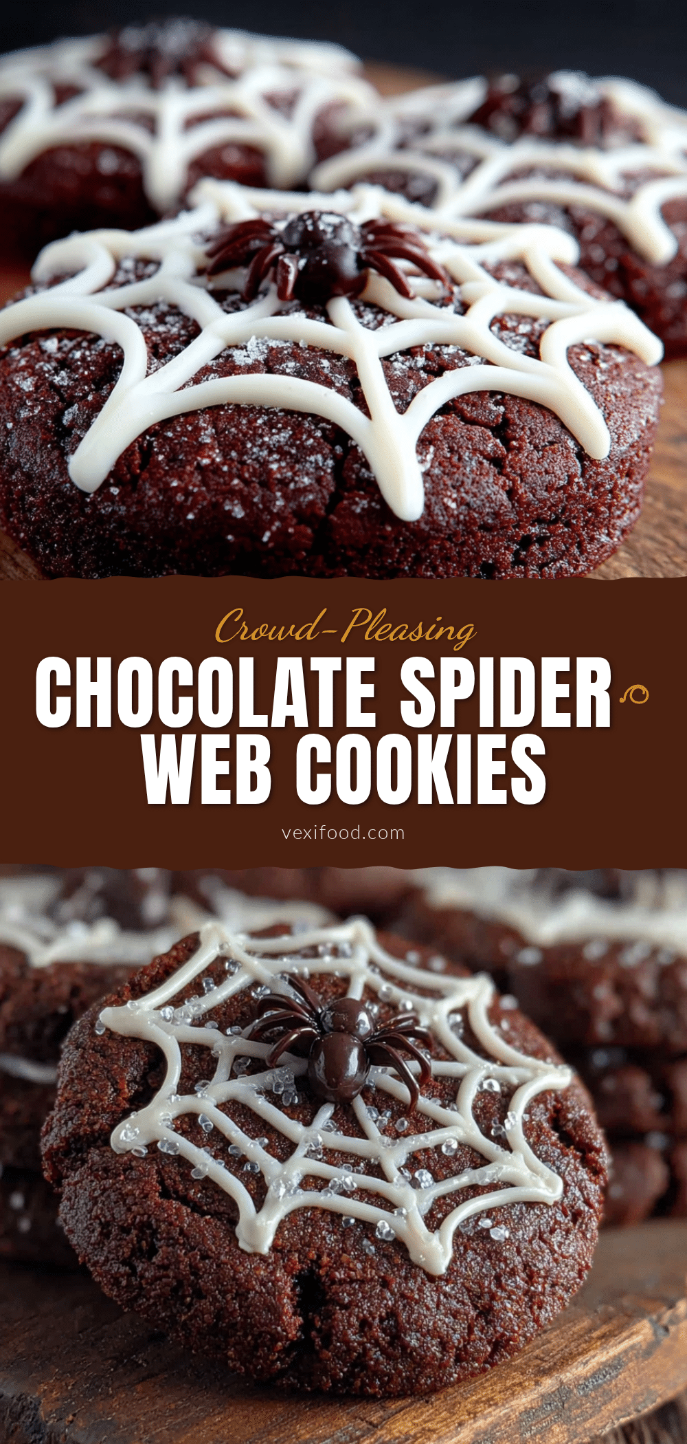 chocolate spider web cookies recipe