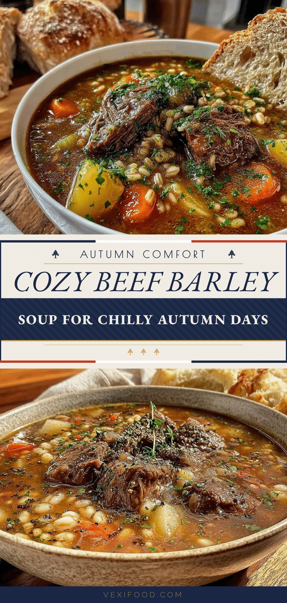 cozy beef barley soup recipe
