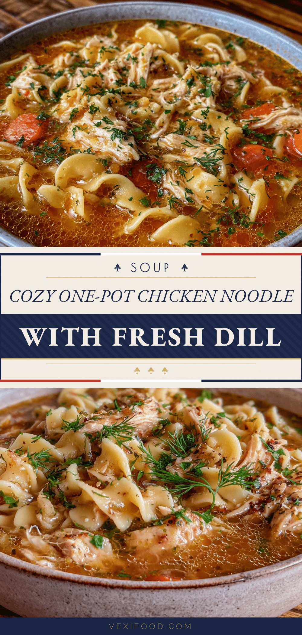 one-pot chicken noodle soup with fresh dill recipe